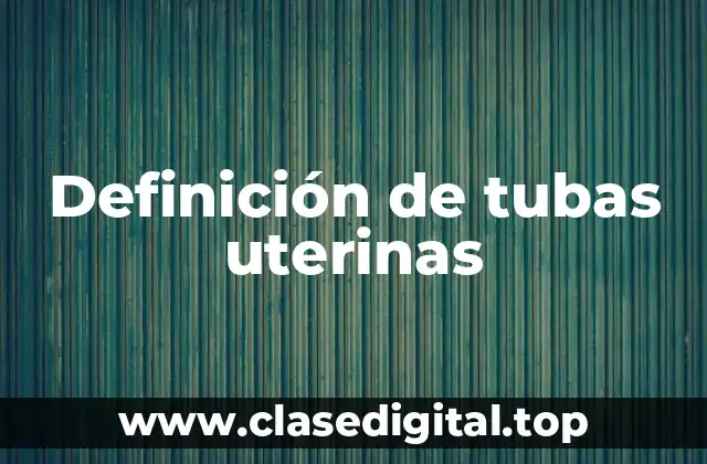 Definición de tubas uterinas