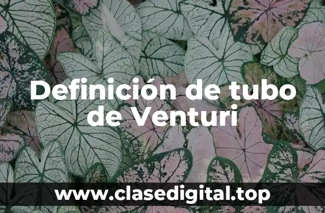 Ejemplos de tubo de Venturi