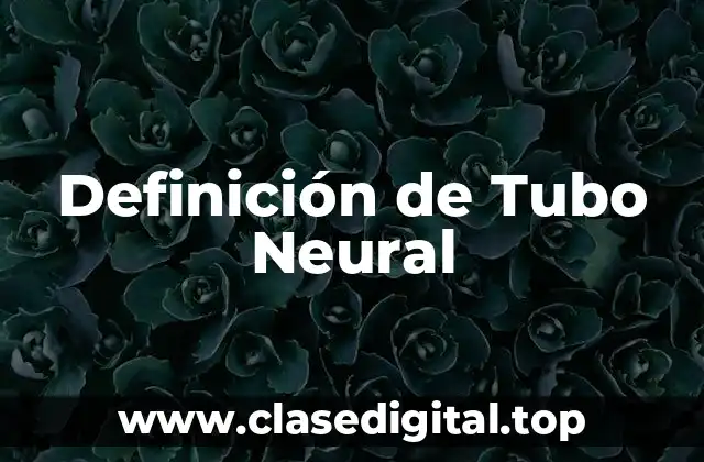 Definición de Tubo Neural