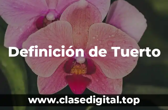 Definición de Tuerto