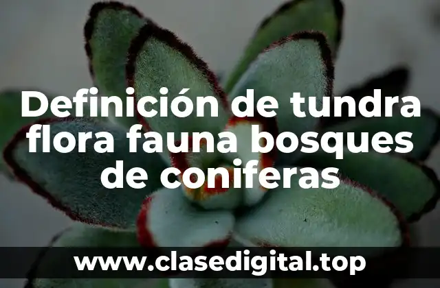 Definición de tundra flora fauna bosques de coniferas