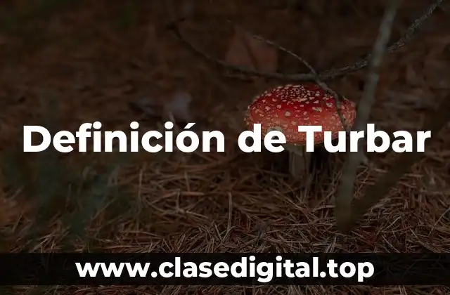 Definición de Turbar