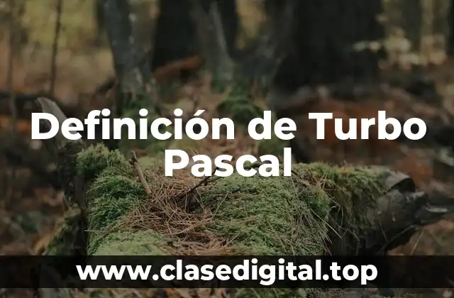 Definición de Turbo Pascal