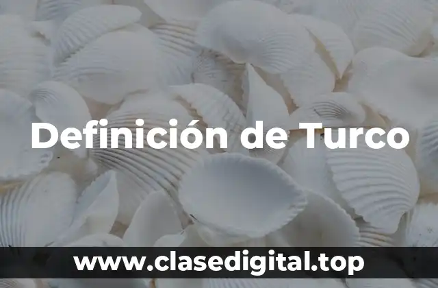 Definición de Turco