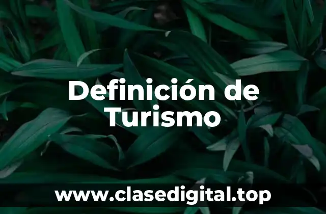 📗 Definición técnica de Turismo