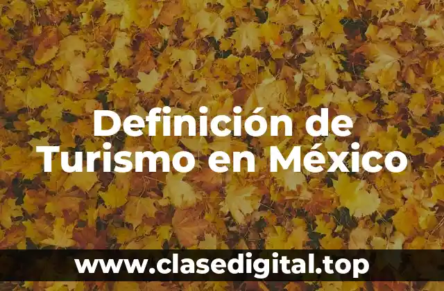 Definición de Turismo en México