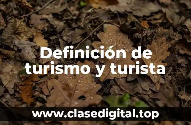Definición de turismo y turista