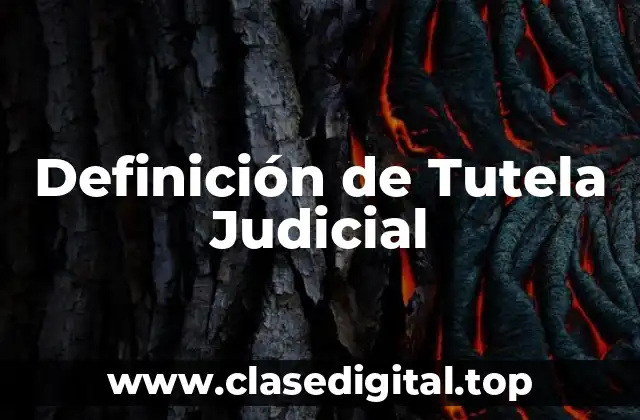 Definición de Tutela Judicial