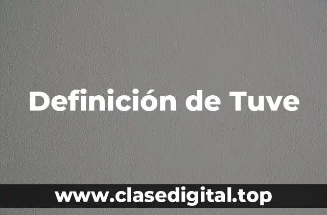 Definición de Tuve