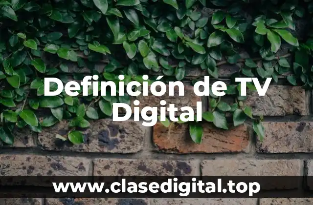 Definición de TV Digital