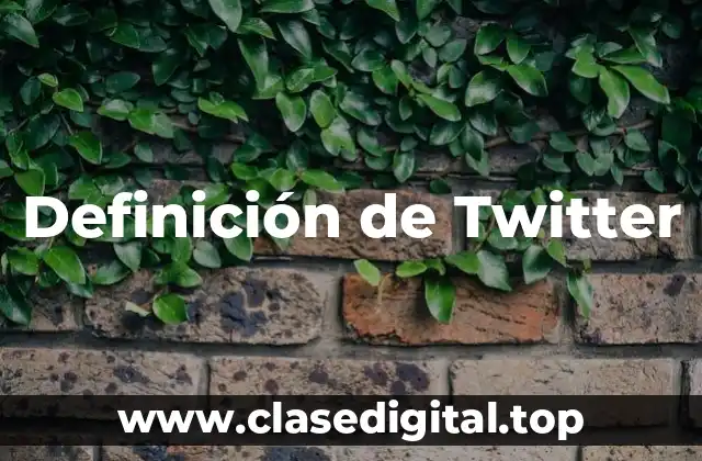 Definición de Twitter