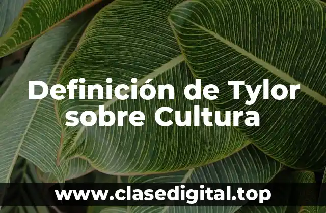 Definición de Tylor sobre Cultura