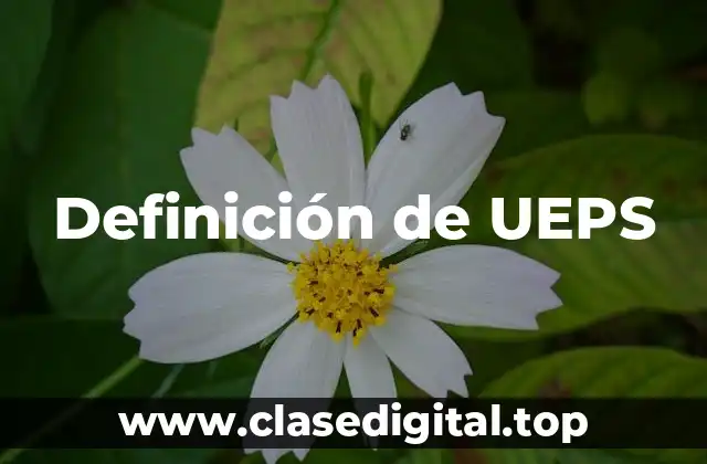 Definición de UEPS