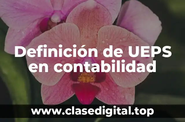 Definición de UEPS en contabilidad