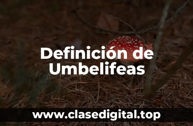 Definición de Umbelifeas