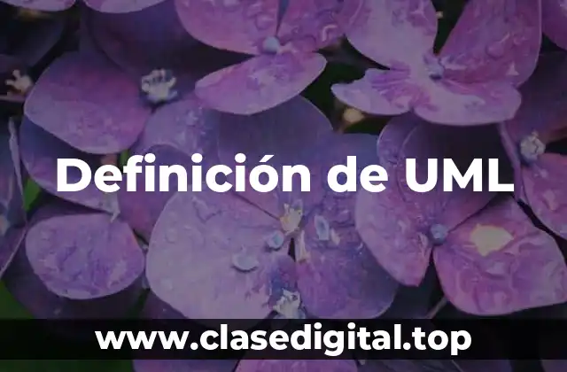 Definición de UML