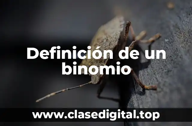 Definición de un binomio