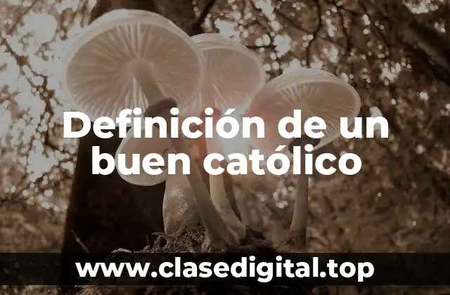 Definición técnica de un buen católico