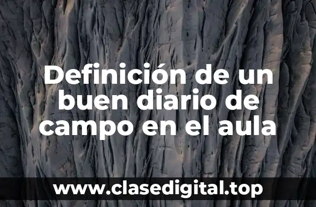Definición de un buen diario de campo en el aula