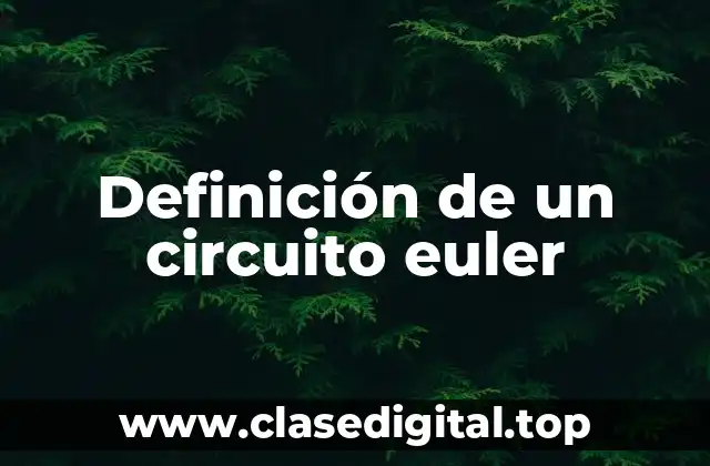 Definición de un circuito euler