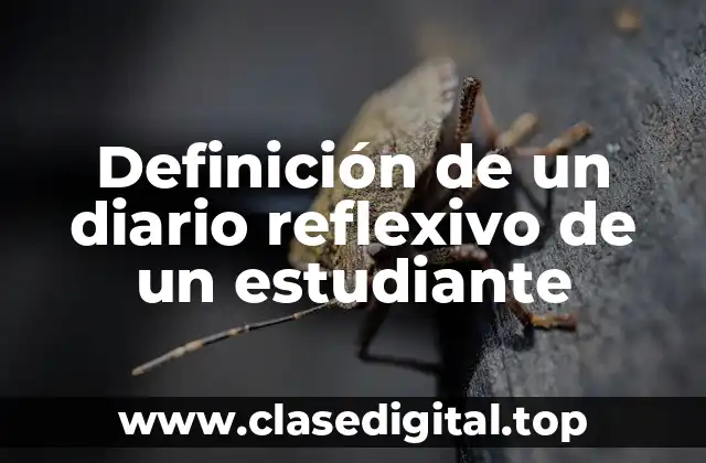 Definición de un diario reflexivo de un estudiante
