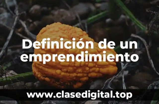 Definición de un emprendimiento