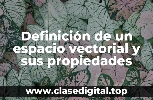 Definición de un espacio vectorial y sus propiedades