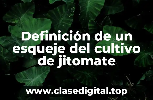 Definición de un esqueje del cultivo de jitomate