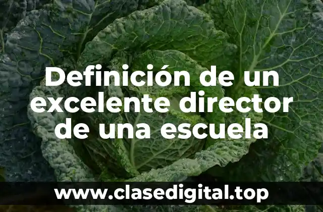 Definición de un excelente director de una escuela
