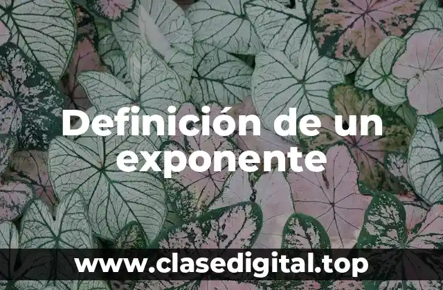 Definición de un exponente