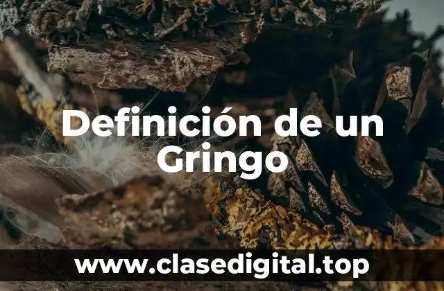 Definición de un Gringo