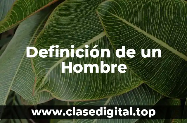 Definición de un Hombre