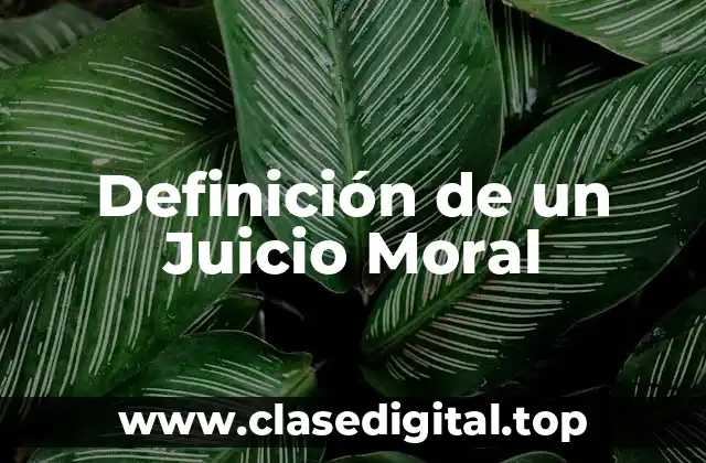 Definición de un Juicio Moral