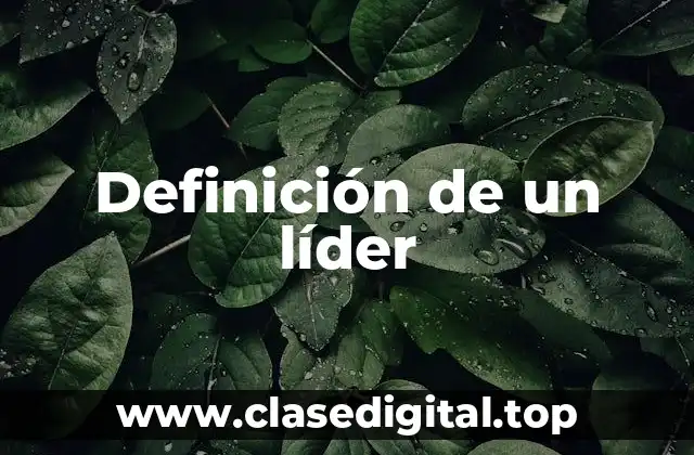 Definición de un líder