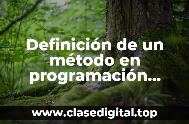 Definición de un método en programación orientada a objetos