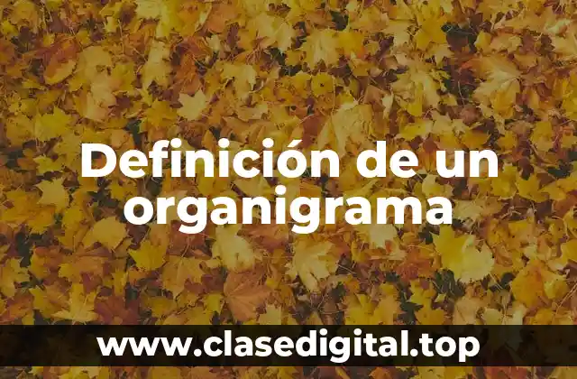 Definición de un organigrama