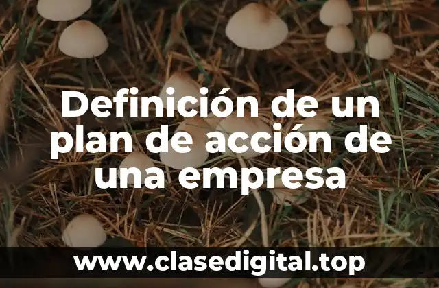 Definición de un plan de acción de una empresa