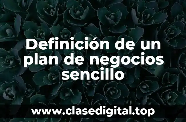 Definición de un plan de negocios sencillo