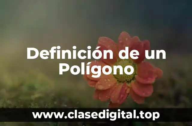 Definición de un Polígono