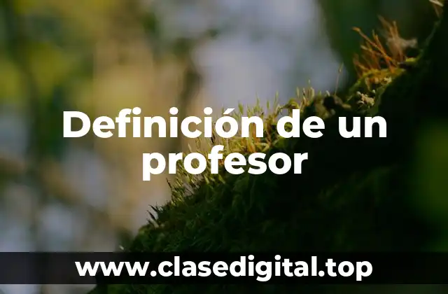Definición de un profesor