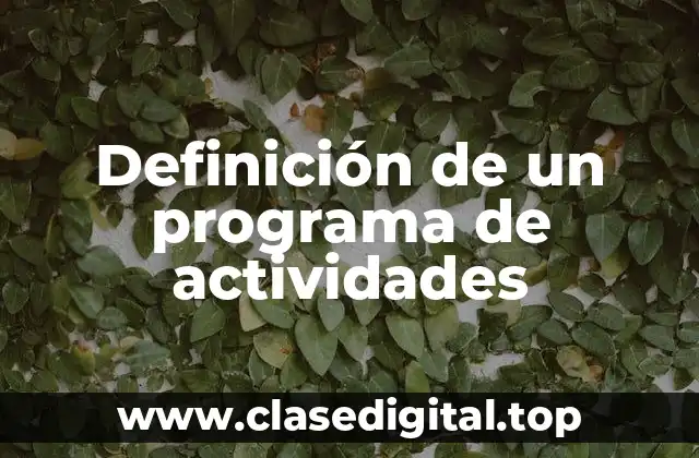 Ejemplos de un programa de actividades