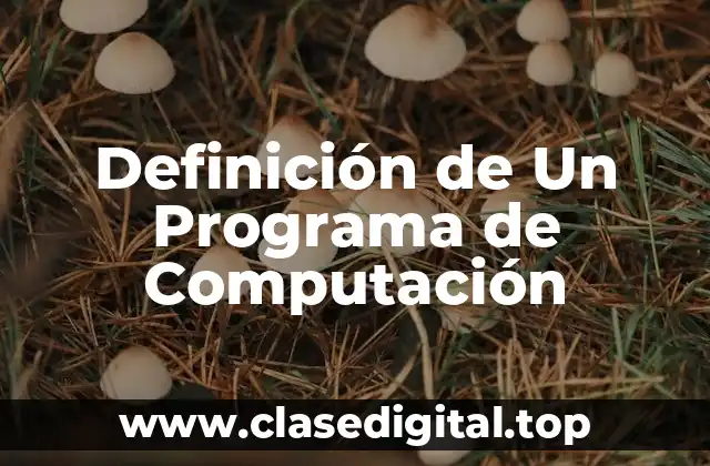 Definición de Un Programa de Computación