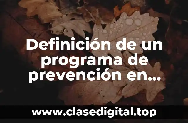 Definición de un programa de prevención en adicciones