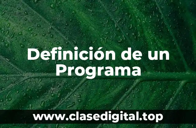Definición de un Programa
