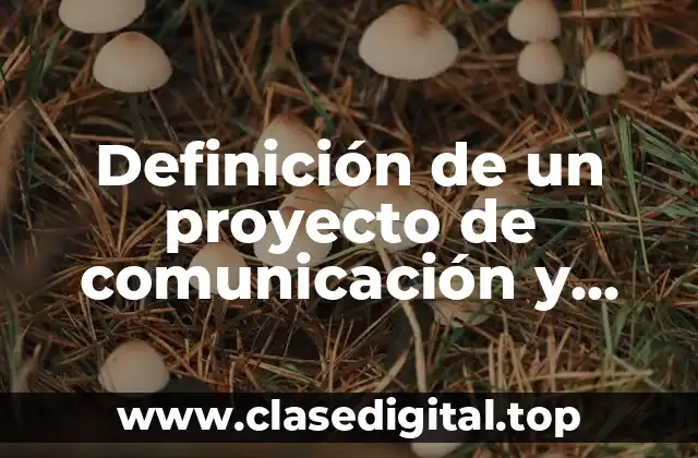 Definición de un proyecto de comunicación y transporte