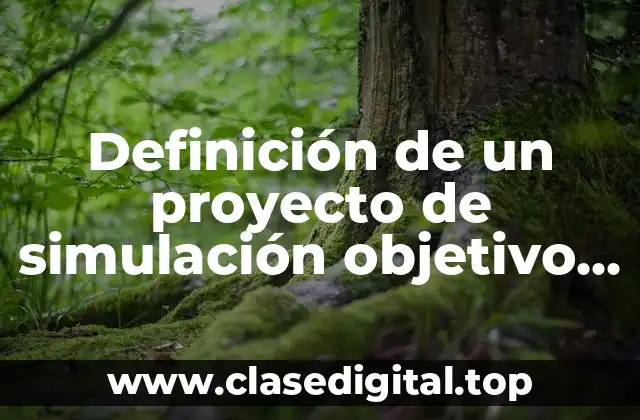 Definición de un proyecto de simulación objetivo antecedentes