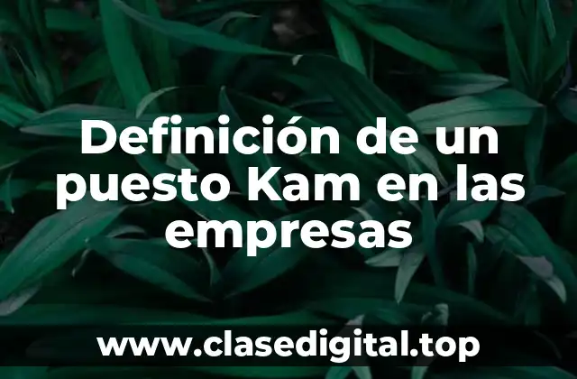 Definición de un puesto Kam en las empresas