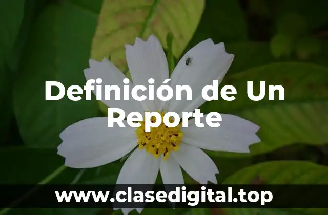 Definición de Un Reporte