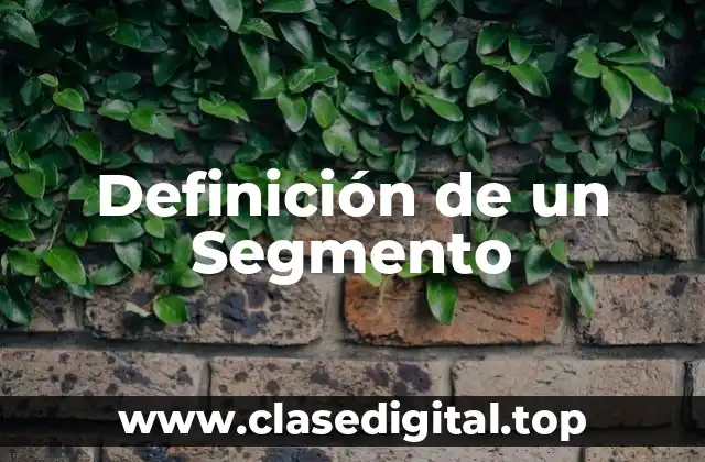 Definición de un Segmento