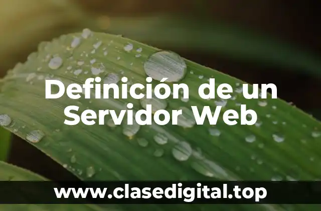 Definición técnica de un Servidor Web